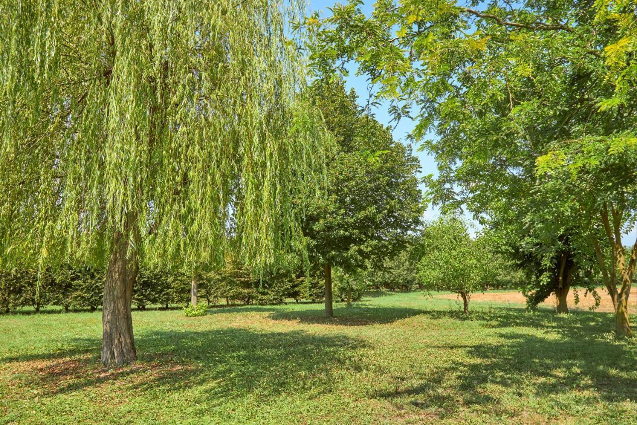 Agriturismo Forzello Ariano nel Polesine Exteriér fotografie